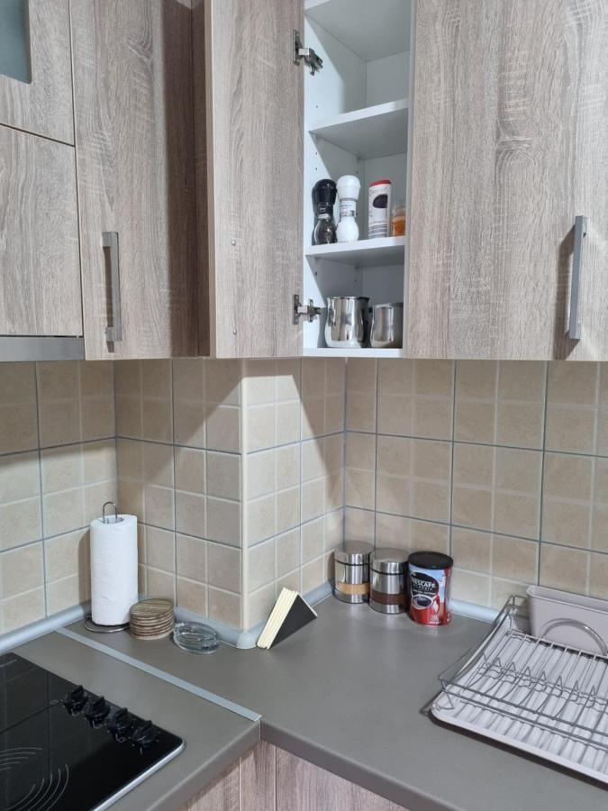 Apartman Ristanovic บันยา โควิลยาชา ภายนอก รูปภาพ